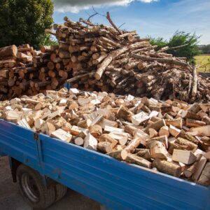 Softwood