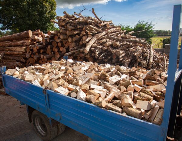 Softwood